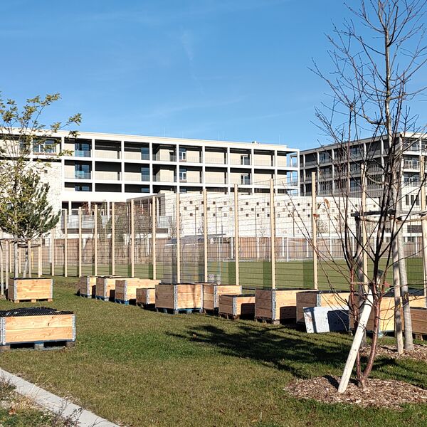 Veranstaltung Mohr-Villa: Führung Neufreimann