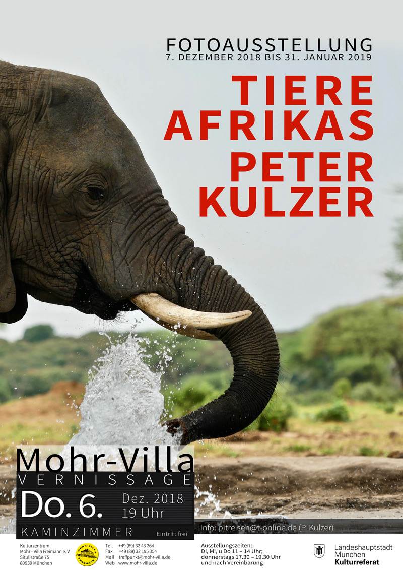 Plakat zur Veranstaltung: Tiere Afrikas