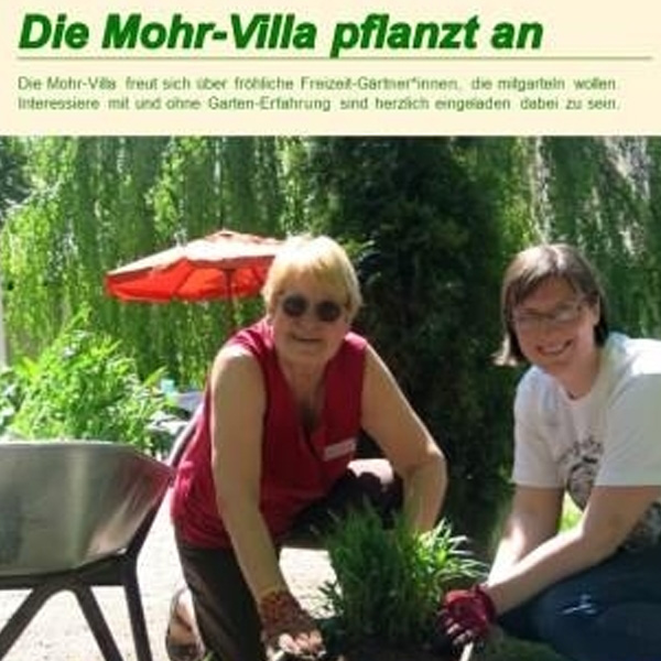 Veranstaltung Mohr-Villa: Mohr-Villa pflanzt an